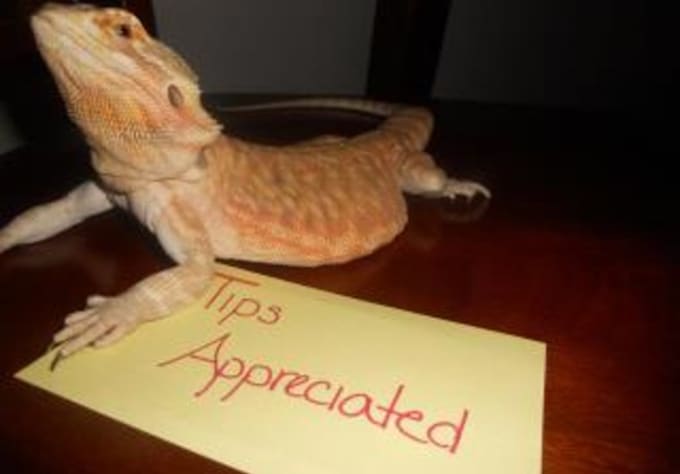 graciously accept a tip