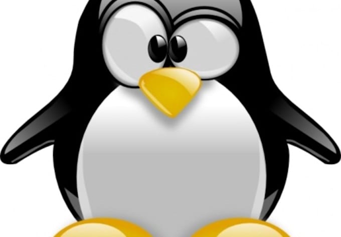 help with an Linux problem on your server or cloud account