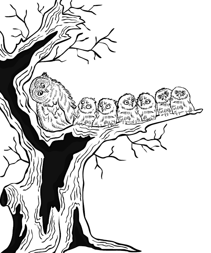 draw black and white line art of your picture