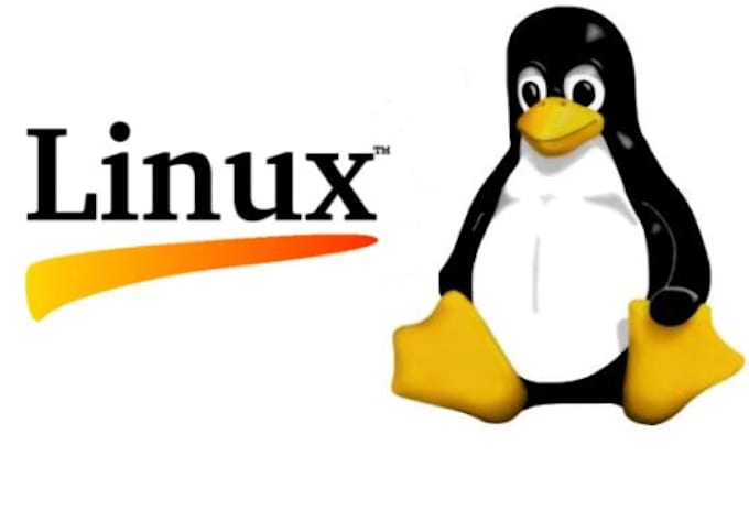 remotely support your Linux server or workstation
