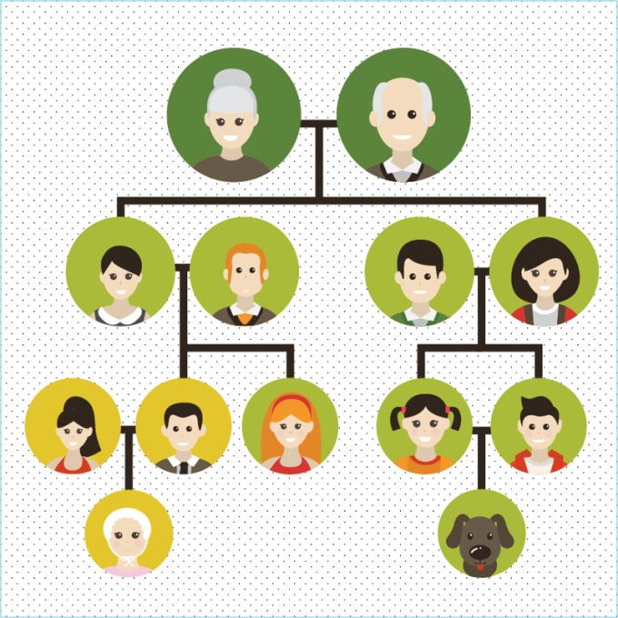 Help you to create family tree by Sujenal | Fiverr
