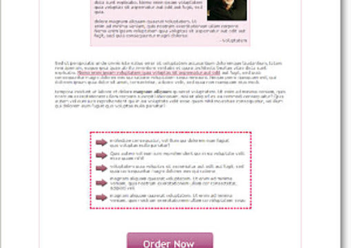 send you 54 professionally designed minisite template