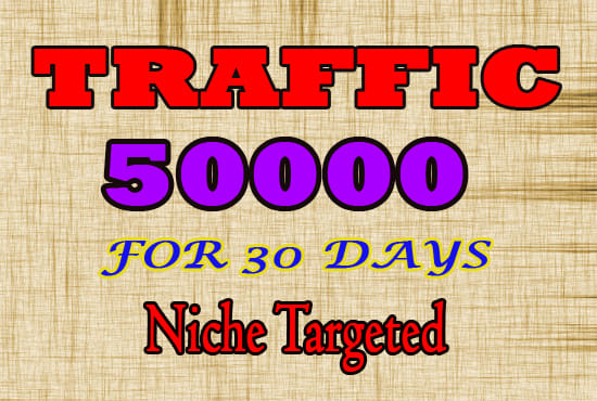 drive 50k usa niche targeted,visitors website,traffic