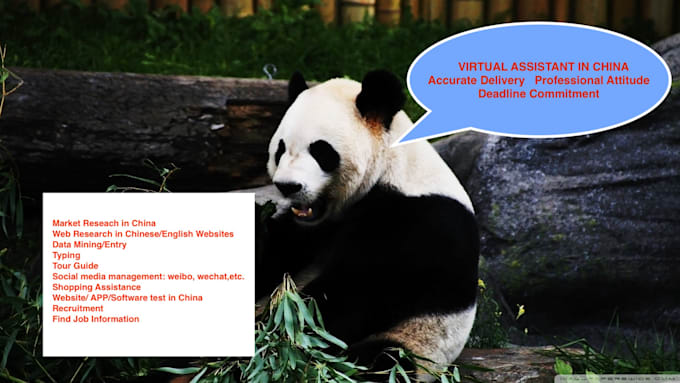 be your chinese virtual assistant web search date entry market app test in china