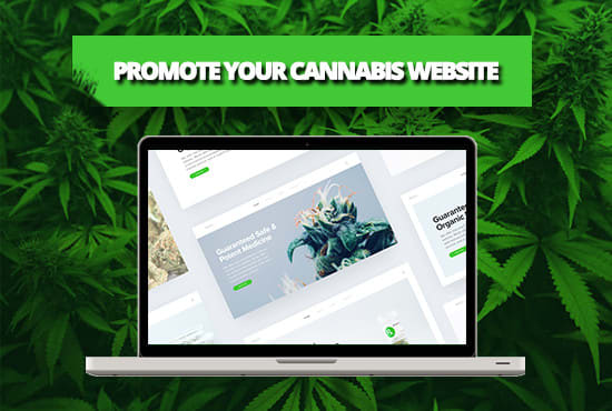 promote your content on my popular cannabis blog