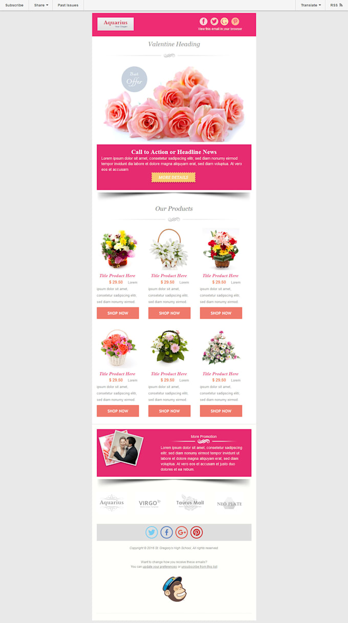 Design an awesome mailchimp newsletter template by Rv_shantw | Fiverr
