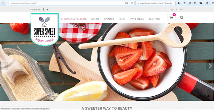 do professional wordpress website development and redesign