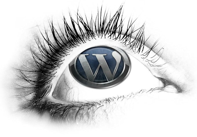fix your Wordpress theme css problems and edit your css file within 48hrs