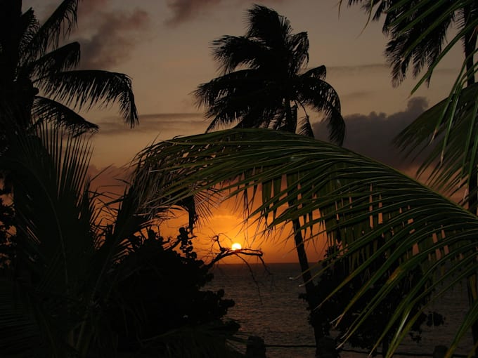 be your travel writer