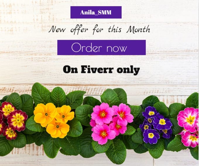 Set up your social media like facebook instagram and pinterest by Anila