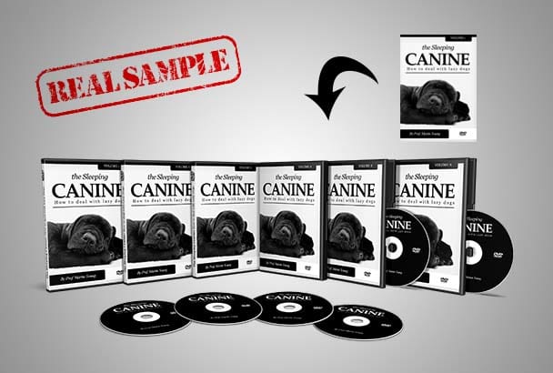 Convert Your 2d Covers Into 3d Product Bundle Mockup By Hadkarbhushan