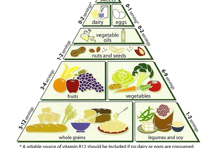 Provide A Customized Vegetarian Meal Plan With Recipes And Shopping List By Hsmcallister Fiverr I'm talking breakfast, lunch and. fiverr