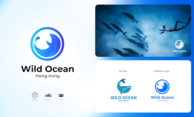 do complete logo design, redesign, or rebranding and website