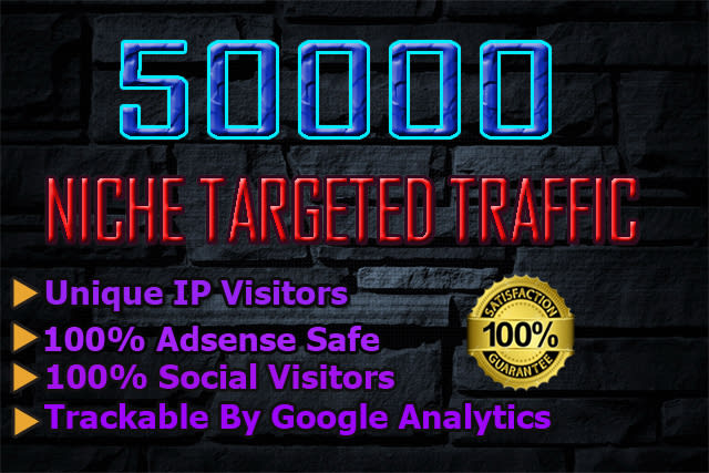 drive 50k usa niche targeted,visitors website,traffic