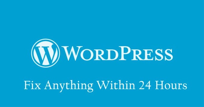install wordpress and customize wp plugins and themes