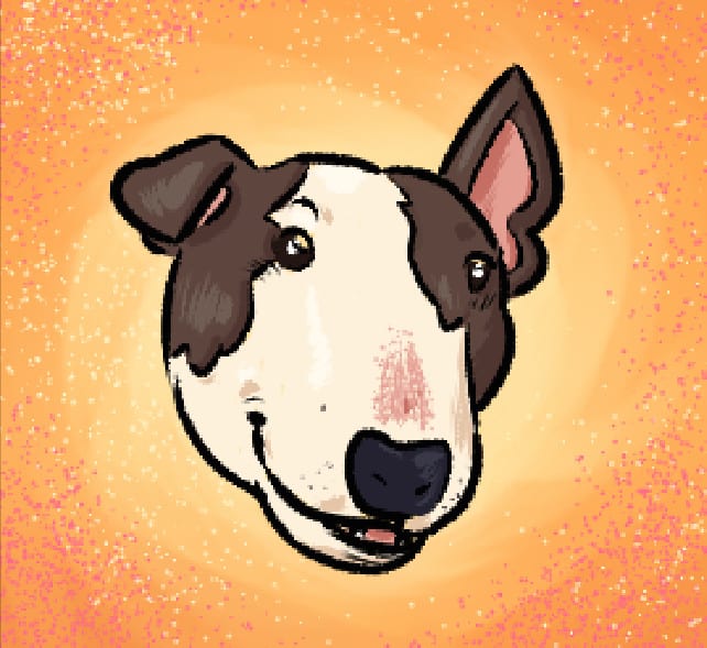 illustrate quirky and fun pet portraits