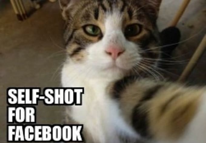 create 20 positive comments on your Facebook wall