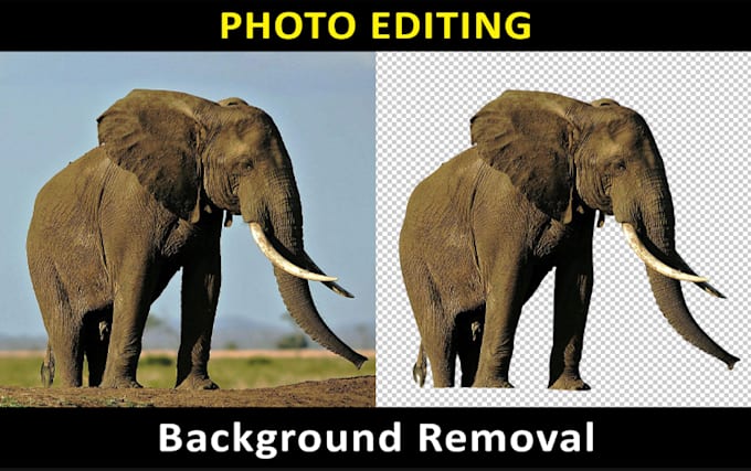 edit pics, remove background, brighten, sharpen, blur, resize
