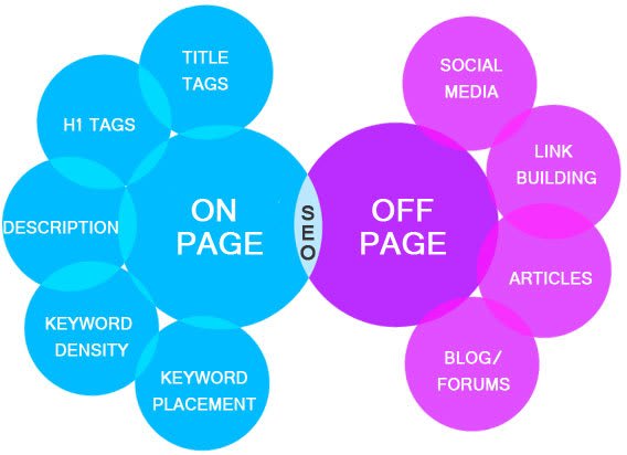 provide Complete SEO Optimization