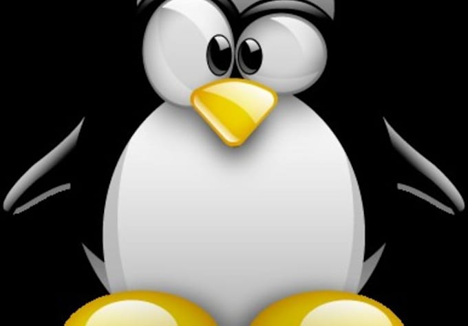 help you install programs in Linux