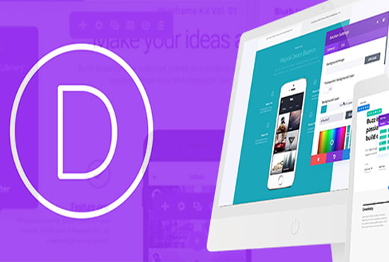 install, customize divi wordpress theme
