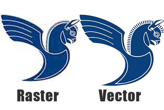 convert raster to vector format within 24 hours