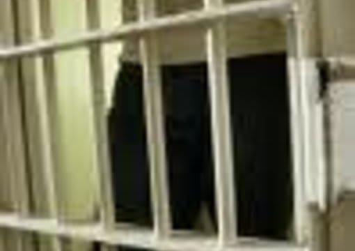 write and send letters for and to prison inmates
