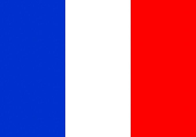 translate french