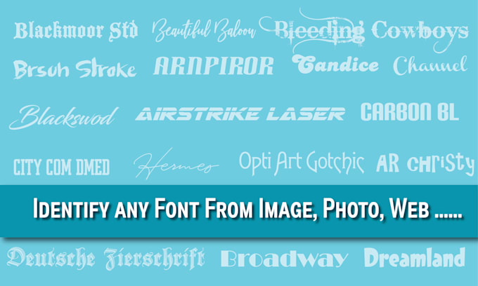 identify and find any font from the image or other sources