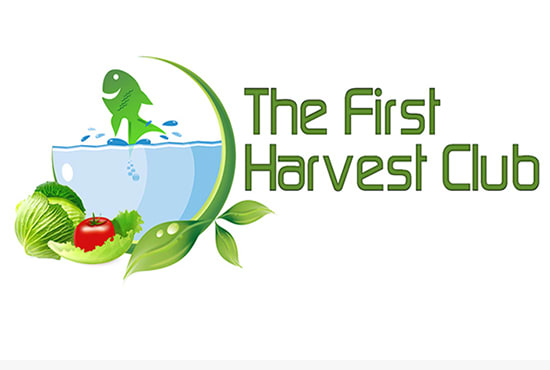 complete brand identity design