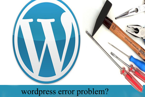 install wordpress or customize your wordpress website or fix issues
