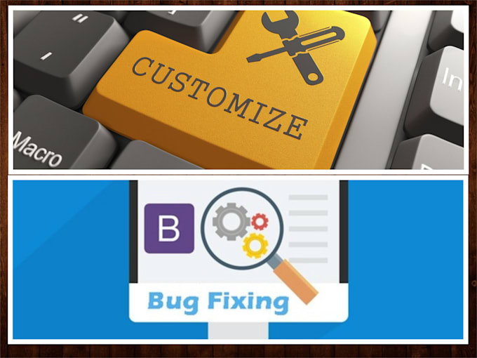 customize,make changes , fix bugs and issues in your website