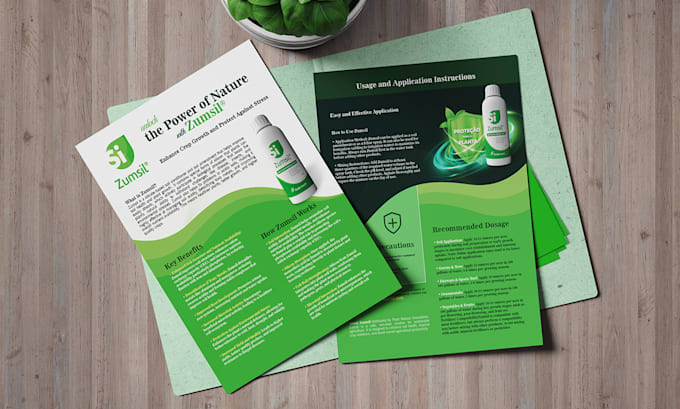 design a professional flyer for business and events