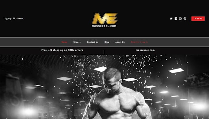 customize and setup paid theme to your shopify website