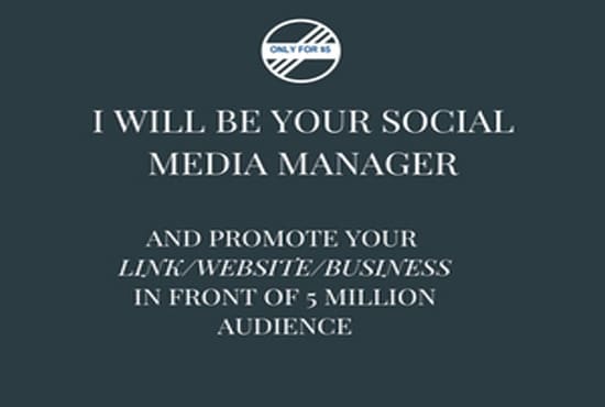 be your social media manager and promote your link