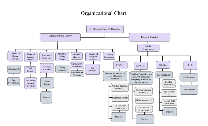 Create custom organization and training charts by Pierrepinheiro | Fiverr