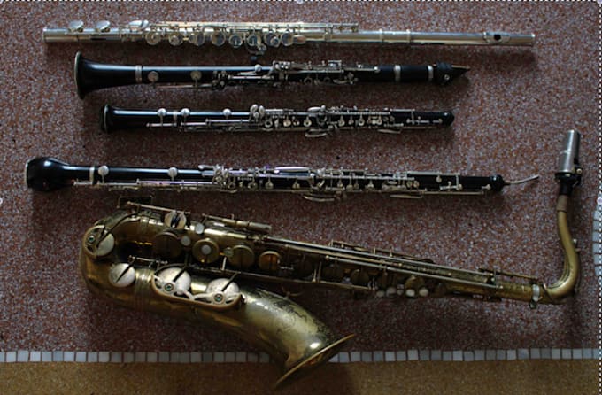 record a woodwind part on your song