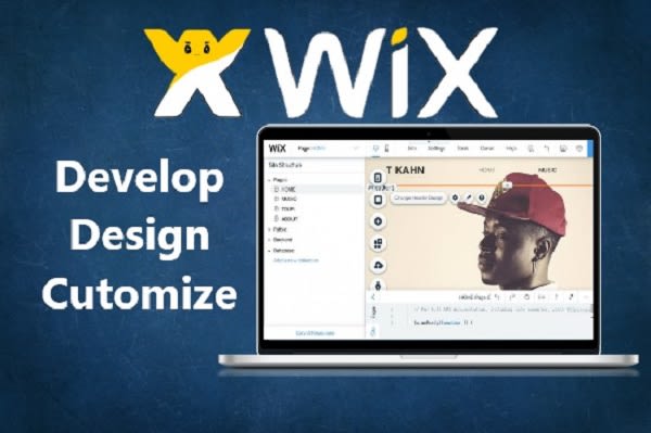 develop a professional and responsive wix website
