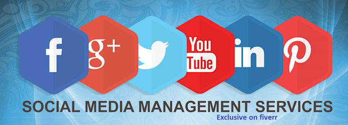 be your social media manager
