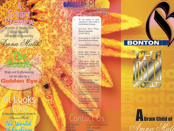 do 2 professionalsflyers and posters in 24 hours