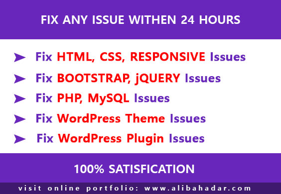 fix any issue of website with 24 hours
