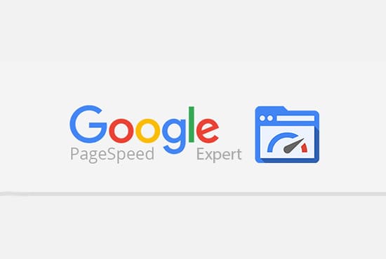 do speed optimization with insight or gtmetrix