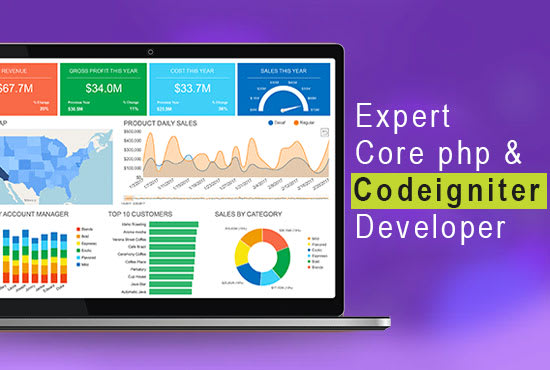 build a custom web application in core PHP or codeigniter