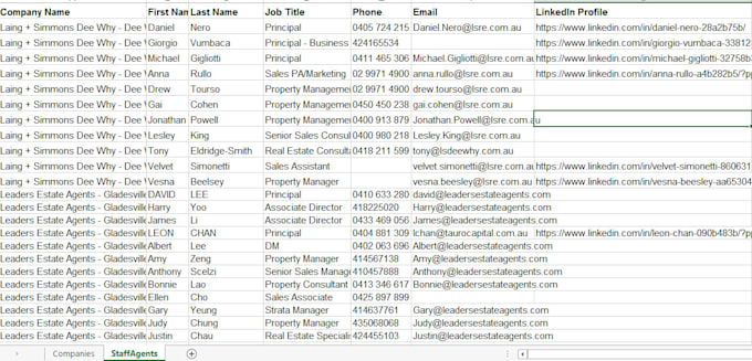 do excel or google sheet data entry