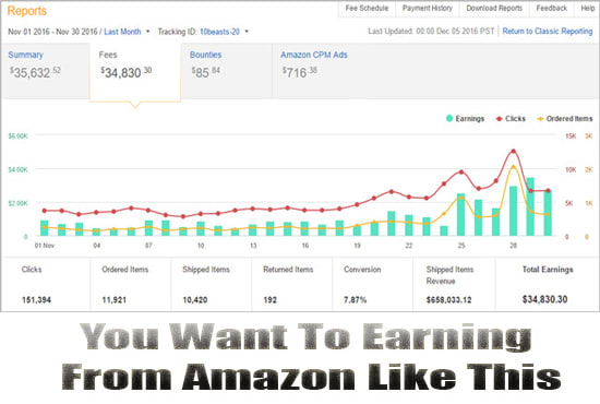 amazon niche site building service