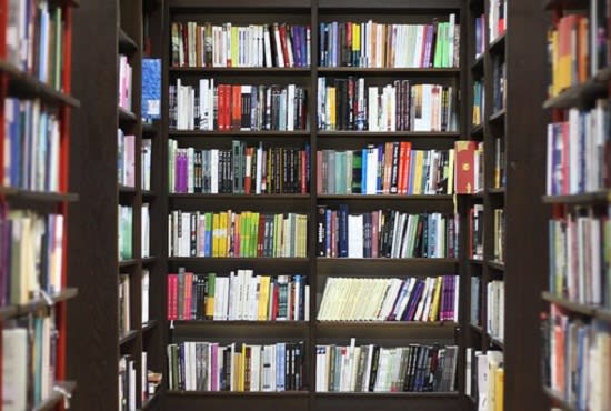 do excellent business writing and financial writing