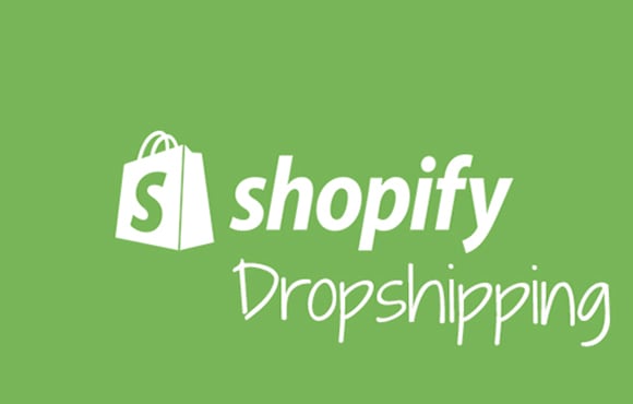 manage your shopify dropshipping store