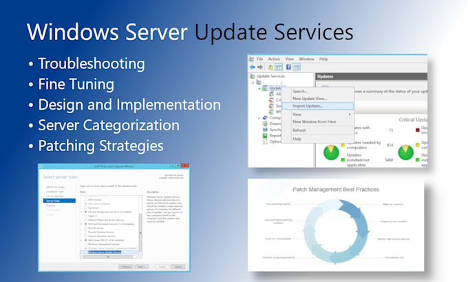 Set up windows updates with wsus, sccm and autopatch by Kalith16 | Fiverr