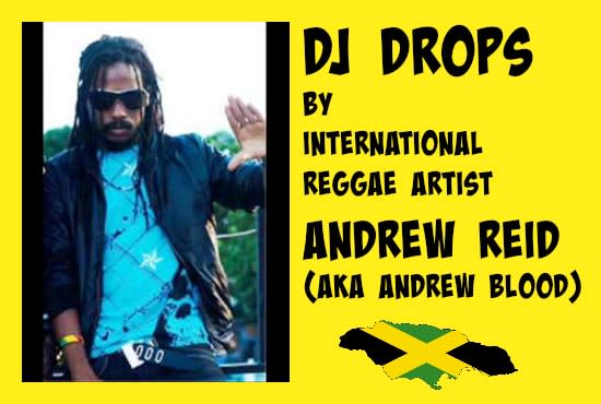 do a DJ Drop for you Reggae or hip hop style
