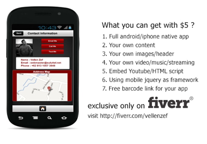 develop professional native android/iphone application